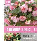 Bulbes à fleurs Begonia Cascade Florence