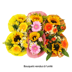 Bouquet de fleurs ‘’Mini’s’’ 6 tiges