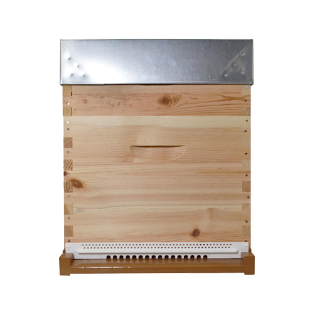 Ruche à tenons Dadant 10 cadres avec plateau plastique