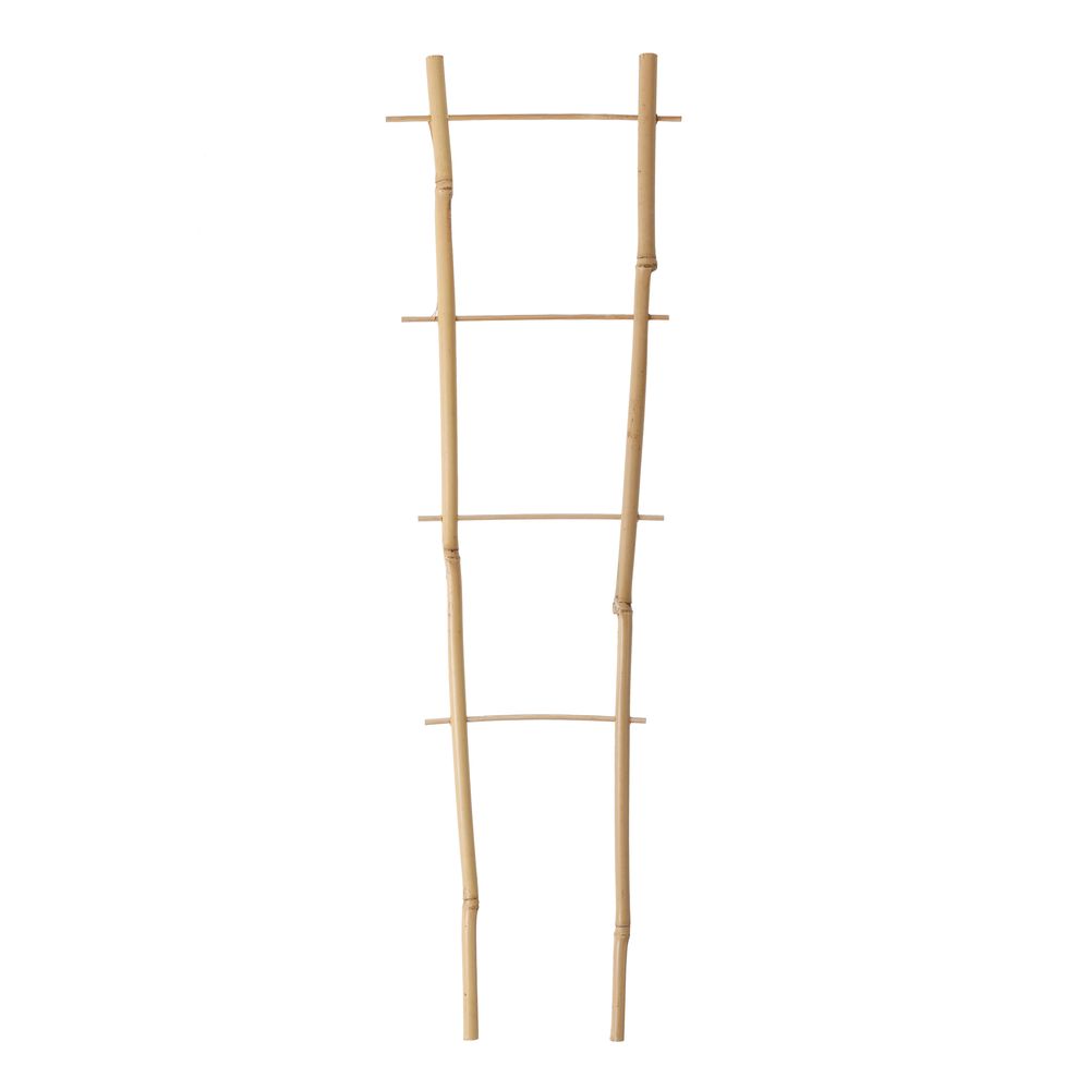 Tuteur échelle en bambou H.155cm