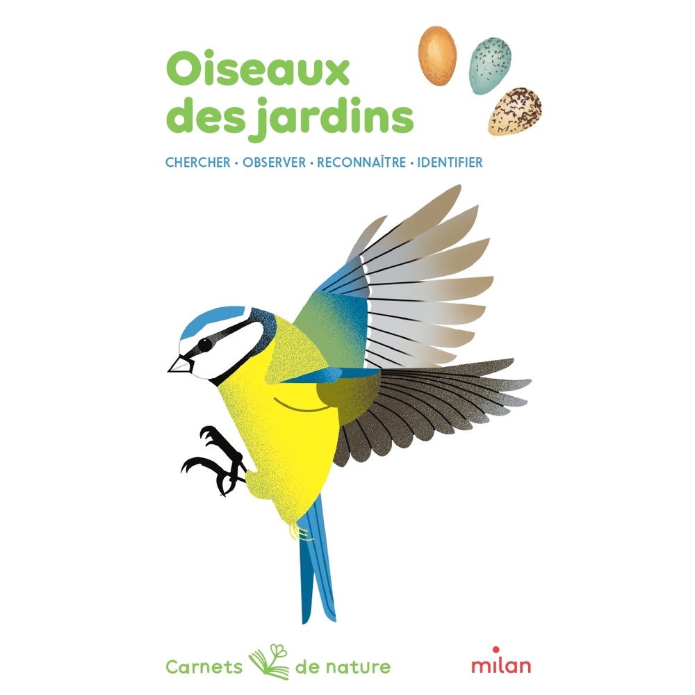 Livre pour enfant, oiseaux des jardins