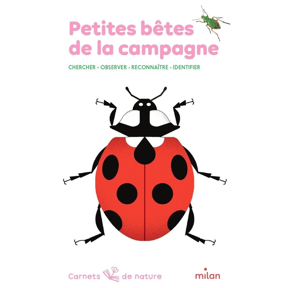 Livre carnet de nature petites bêtes de la campagne