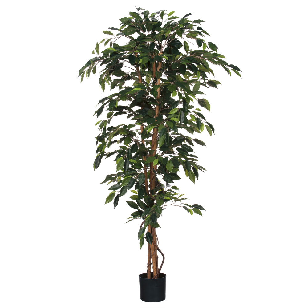 Plante artificielle en pot 'Ficus', coloris vert - H.170cm