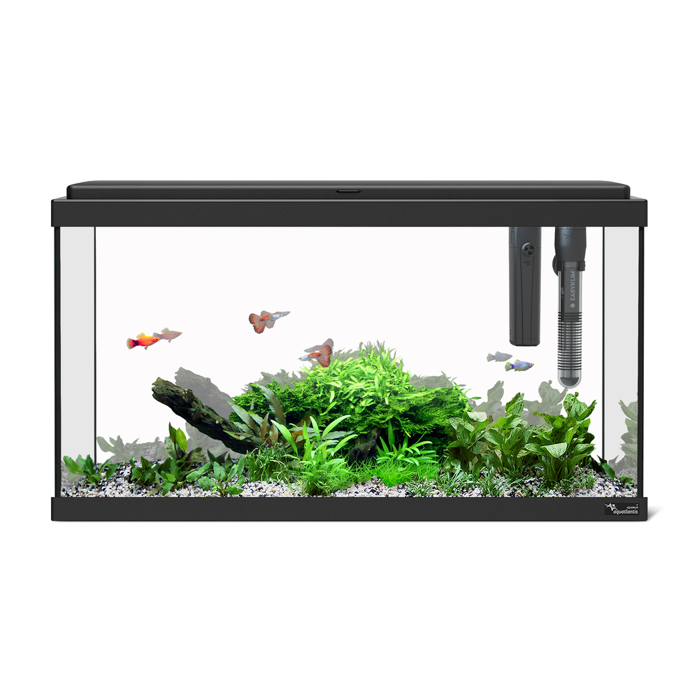 Aquarium Explorer Paris 60 LED équipé, coloris noir - 54L