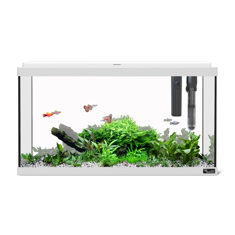 Aquarium Explorer Paris 60 LED équipé, coloris blanc - 54L