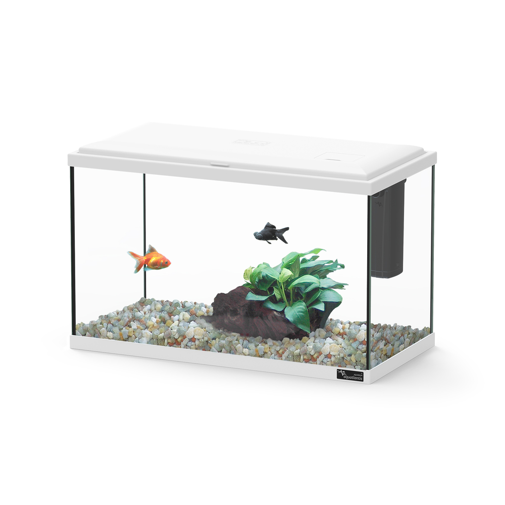 Aquarium équipé Smart blanc - 22 litres