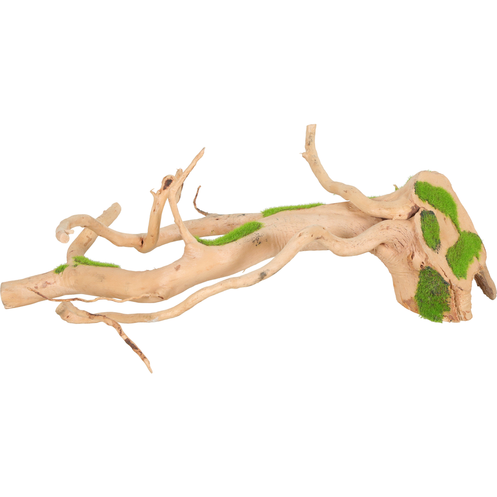 Racine Araignee Kipouss pour aquarium taille S