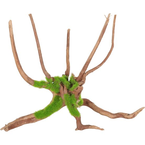 Racine araignée Kipouss pour aquarium, taille M
