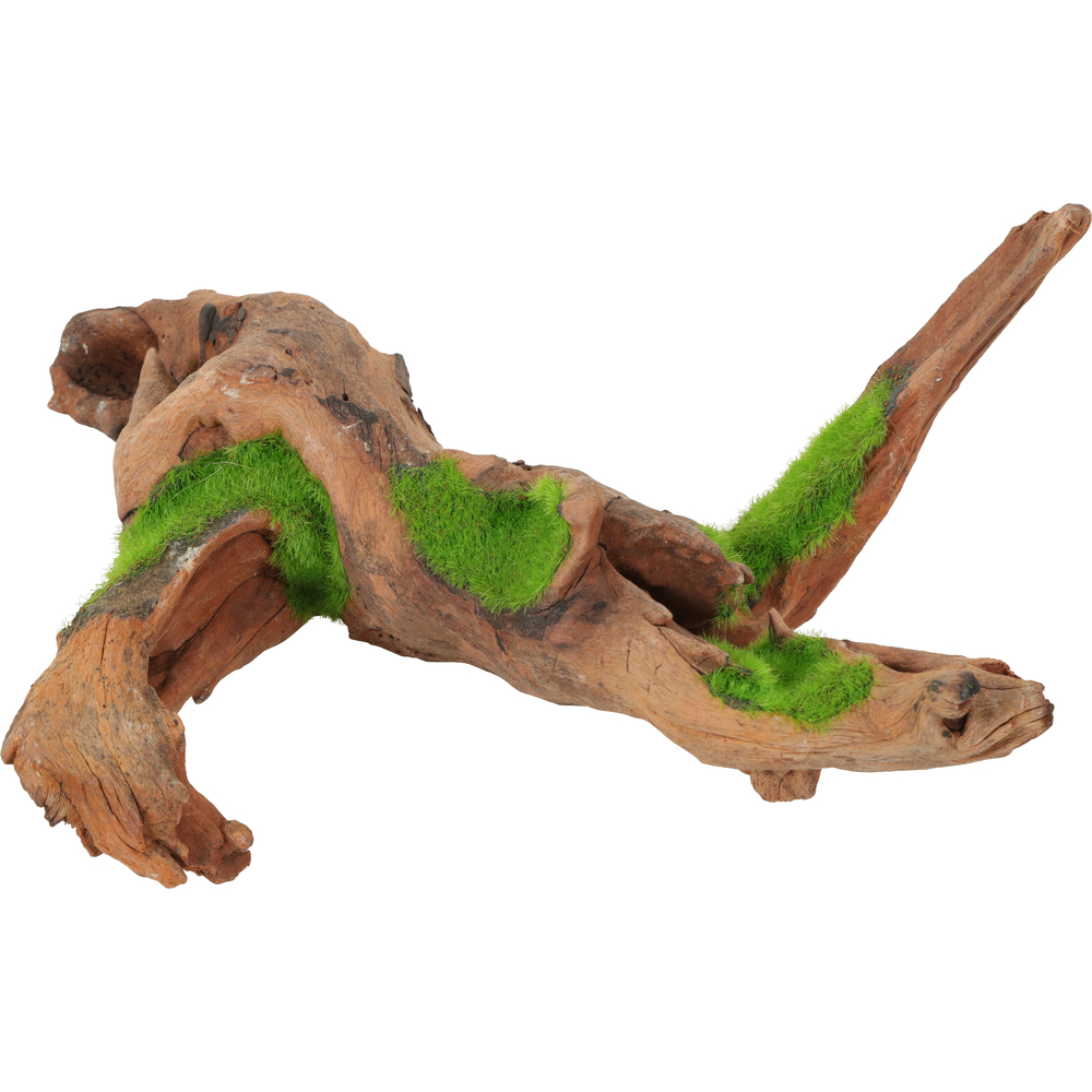 Racine de Malaisie Kipouss pour aquarium taille M