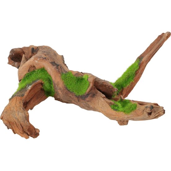 Racine de Malaisie Kipouss pour aquarium, taille M