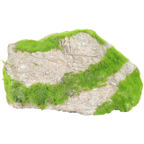 Racine Grey Stone Kipouss pour aquarium, taille S
