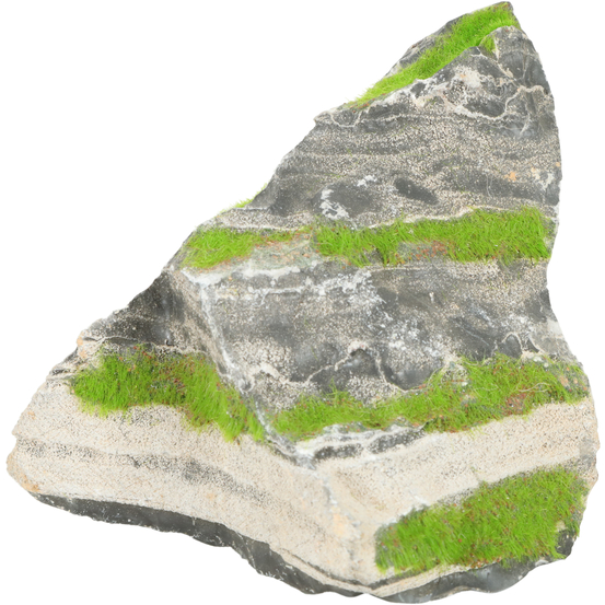Racine Bicolore Stone Kipouss pour aquarium, taille S