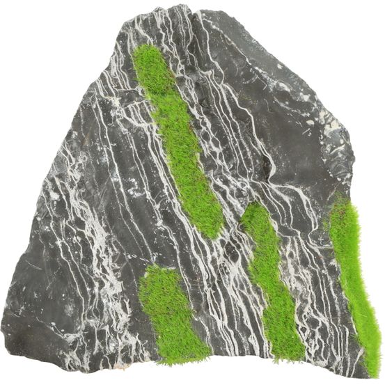 Racine Bicolore Stone Kipouss pour aquarium, taille M