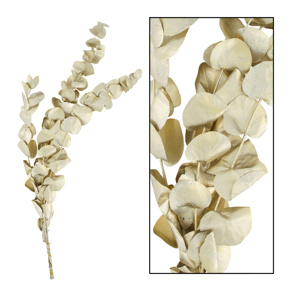 Branche eucalyptus or - dim. 50x20x3cm - 45g