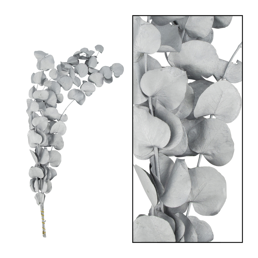 Branche eucalyptus argent - dim. 50x20x3cm - 45g