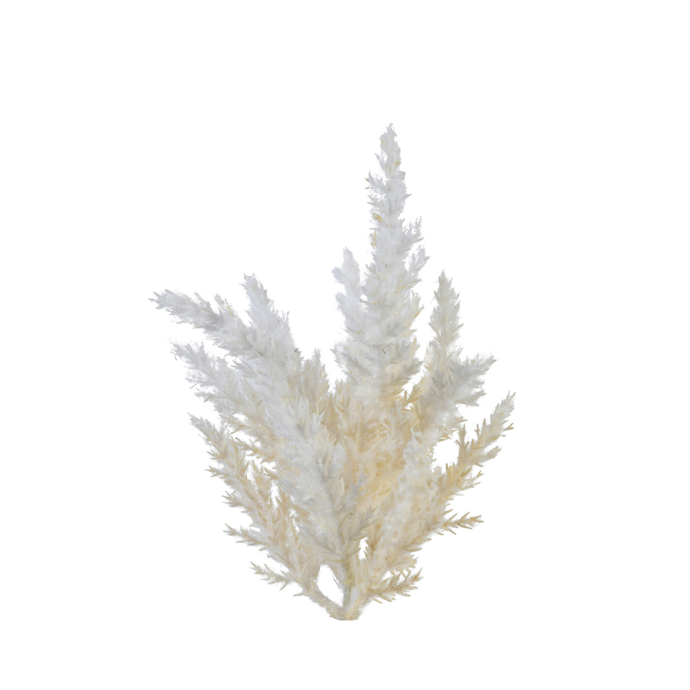 Tige Herbe de la pampa plastique h 20 cm