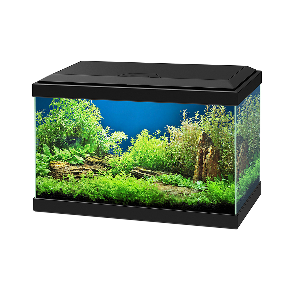 Aquarium équipé Aqua 20 noir - 17 litres