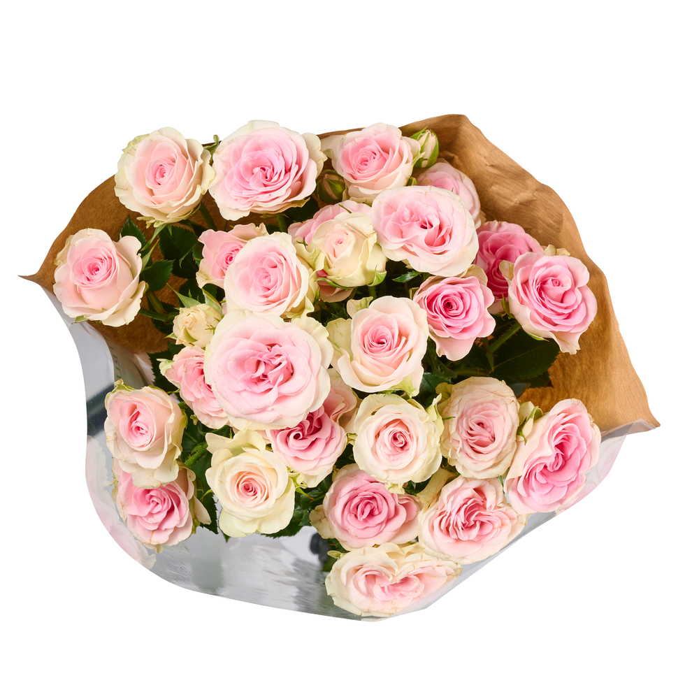 Botte de 5 roses branchues roses pâles H.50cm