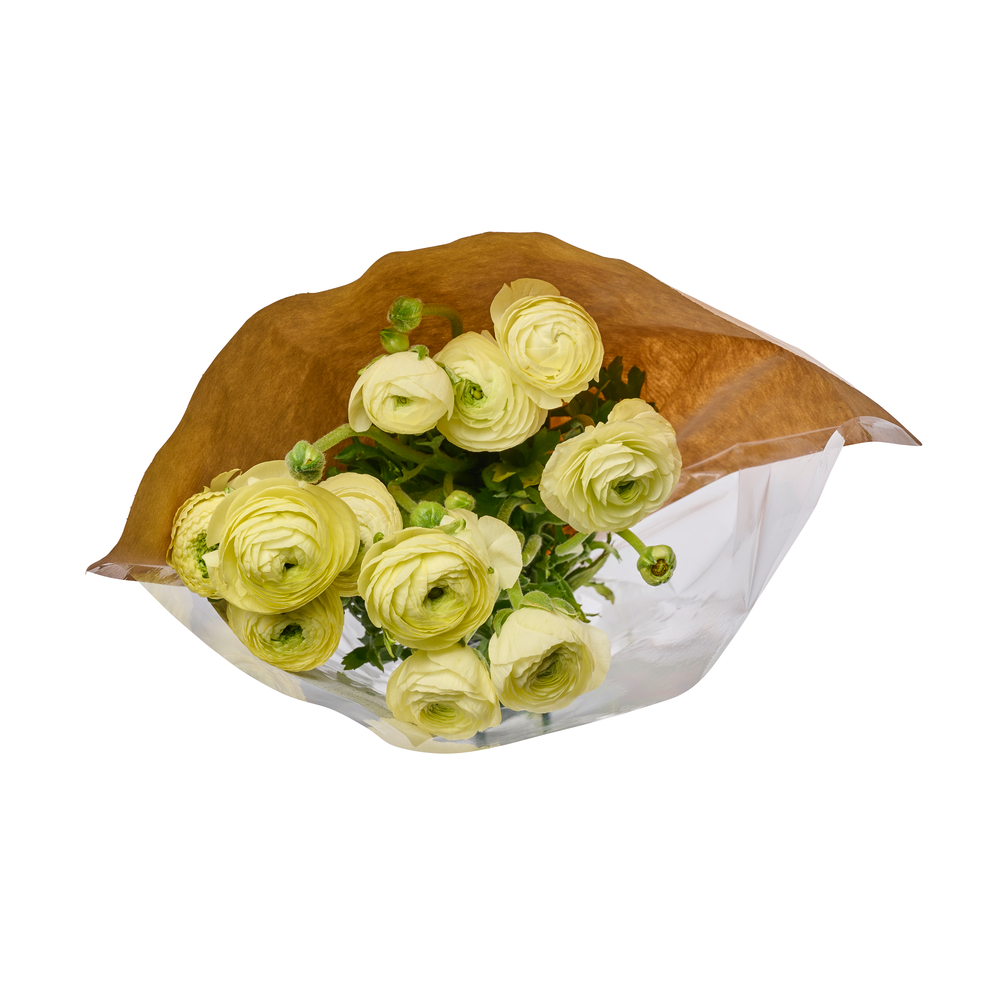 Botte de 10 Renoncules ''Fleurs de France'' - Coloris variés H.40cm