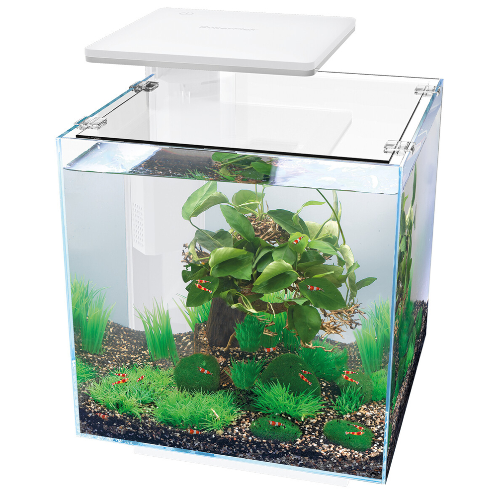 Aquarium Qubiq 30 litres Pro blanc L. 32.0 P. 32.0 H. 42.5 cm