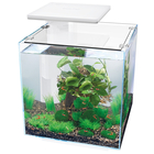 Aquarium Qubiq 30 litres Pro blanc L. 37.0 P. 37.0 H. 46.0 cm