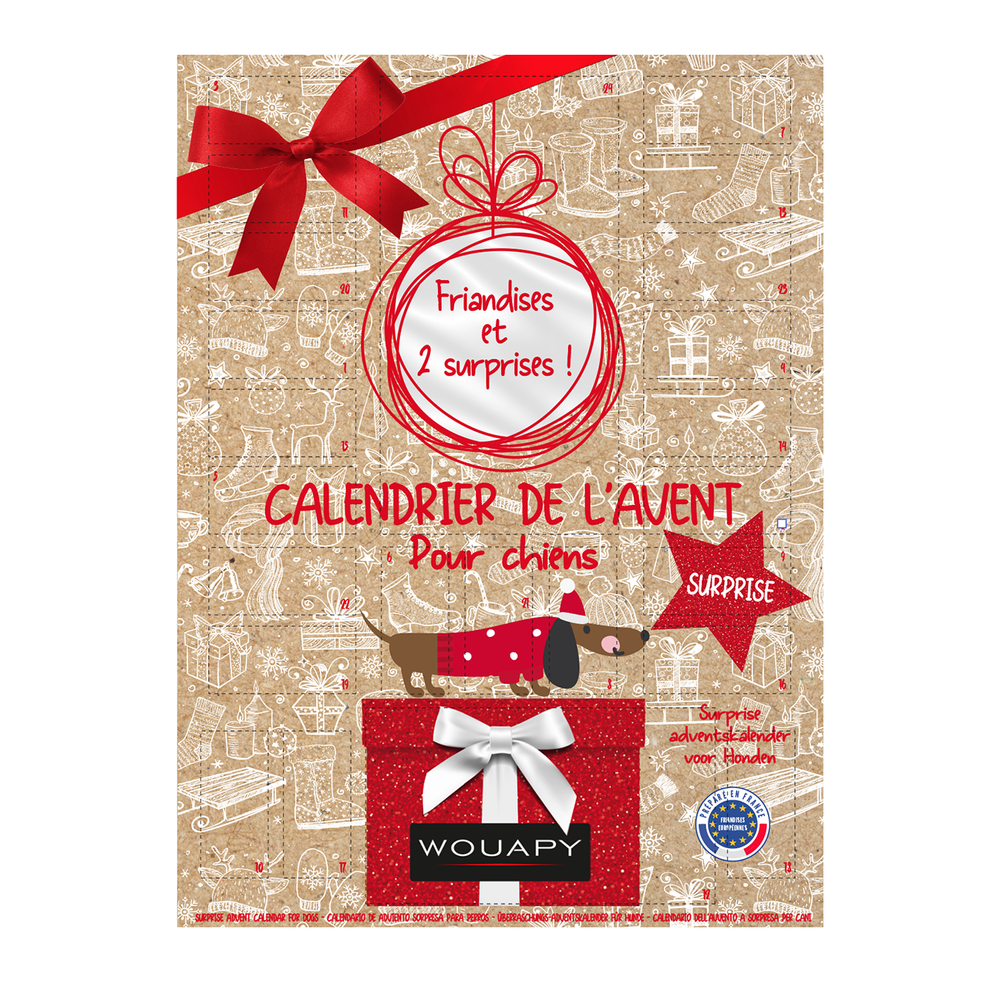 Calendrier de l'avent surprise pour chien