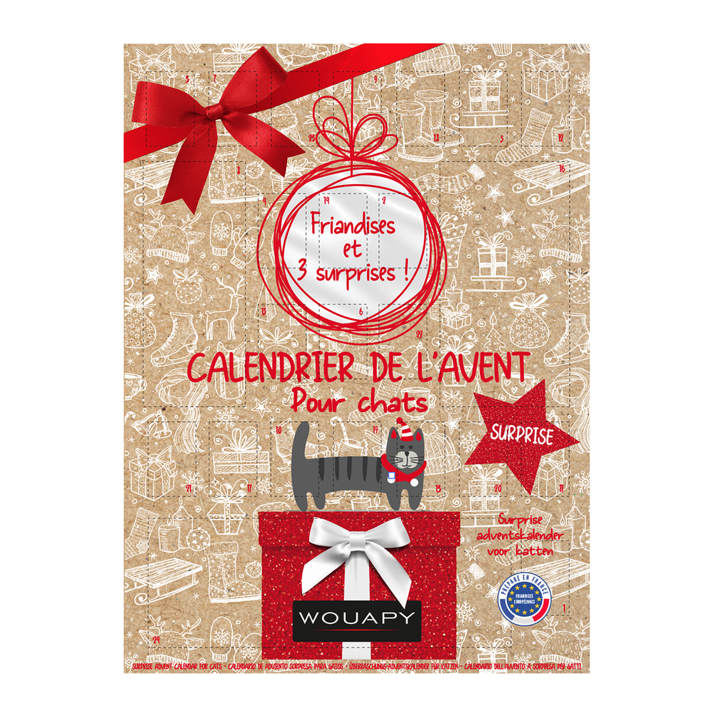 Calendrier de l'avent surprise pour chat