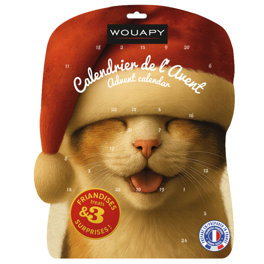 Calendrier de l'avent surprise pour chat