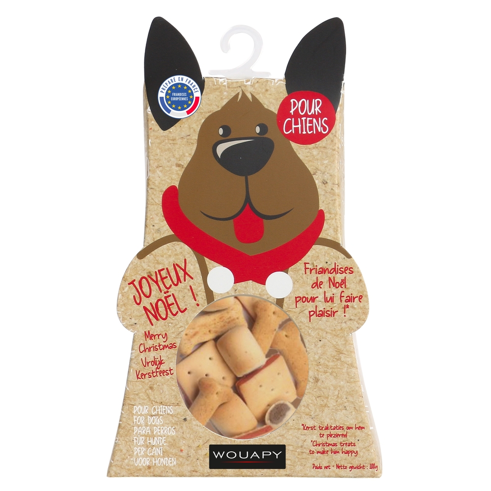 Boite noel pour chien