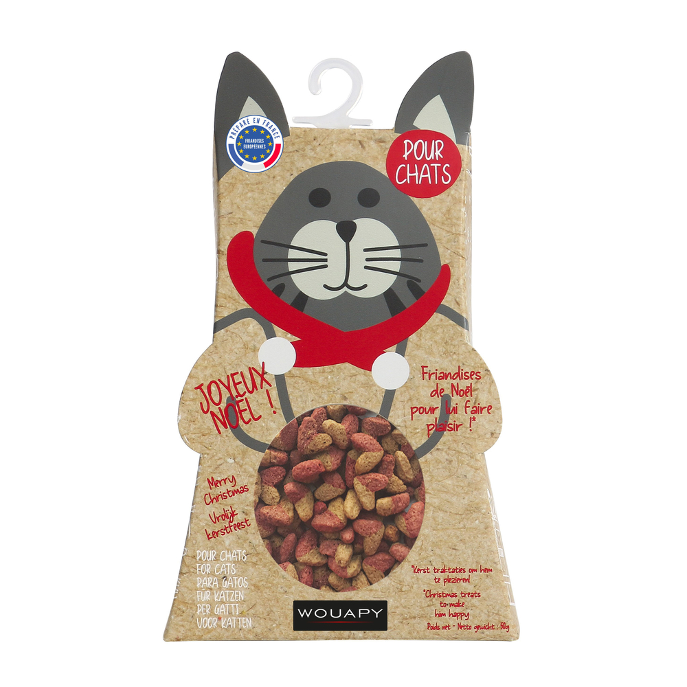 Boite Noël pour chat 50g