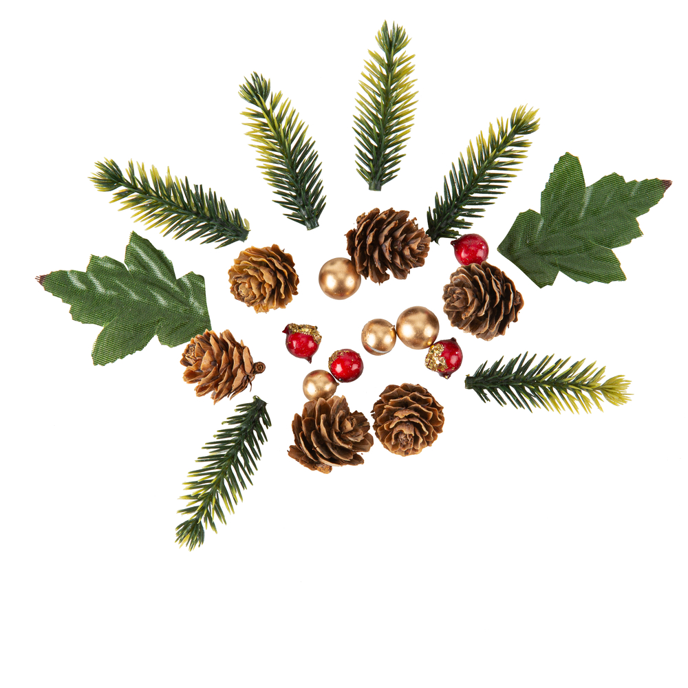 Sapin Vert Pommes Pin Baie