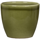 Mini Cache-Pot 920 Glass Olive ø7cm vert