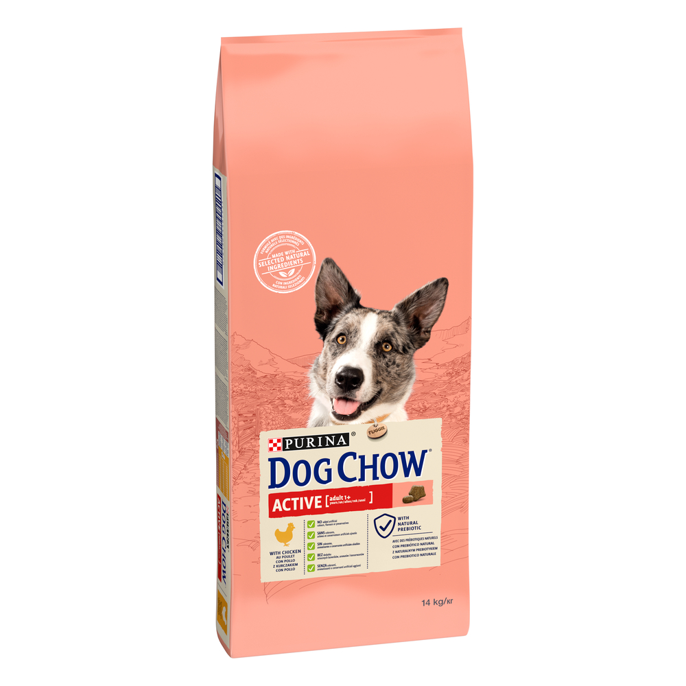 Croquettes Dog Chow Active pour chien adulte au poulet 14 Kg