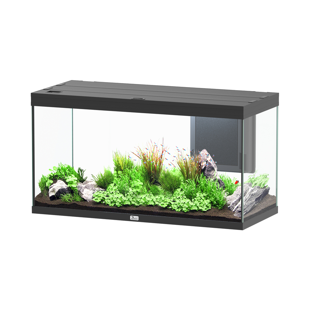 Aquarium Volga 350 noir Led 2.0 équipé