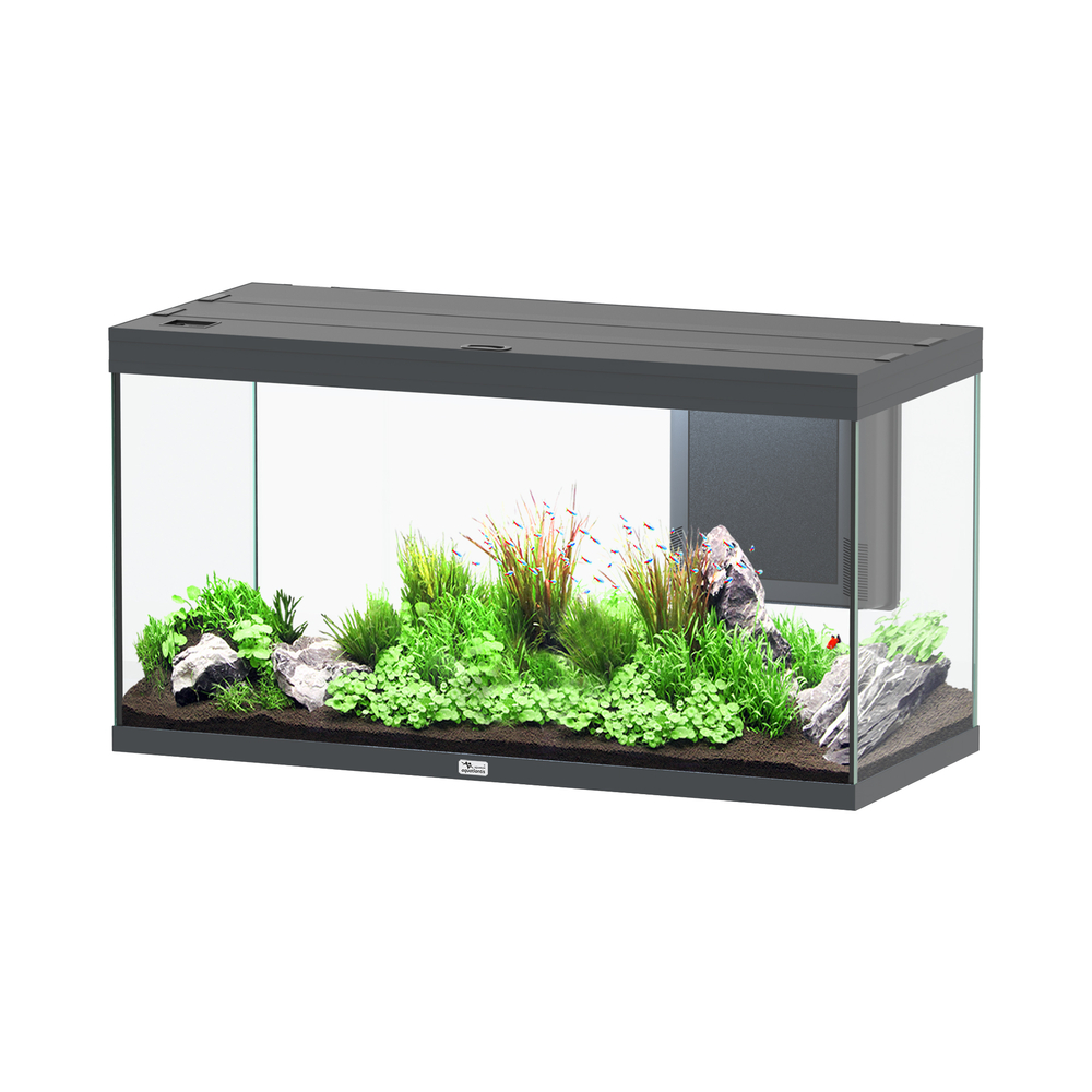 Aquarium Volga 350 gris Led 2.0 équipé