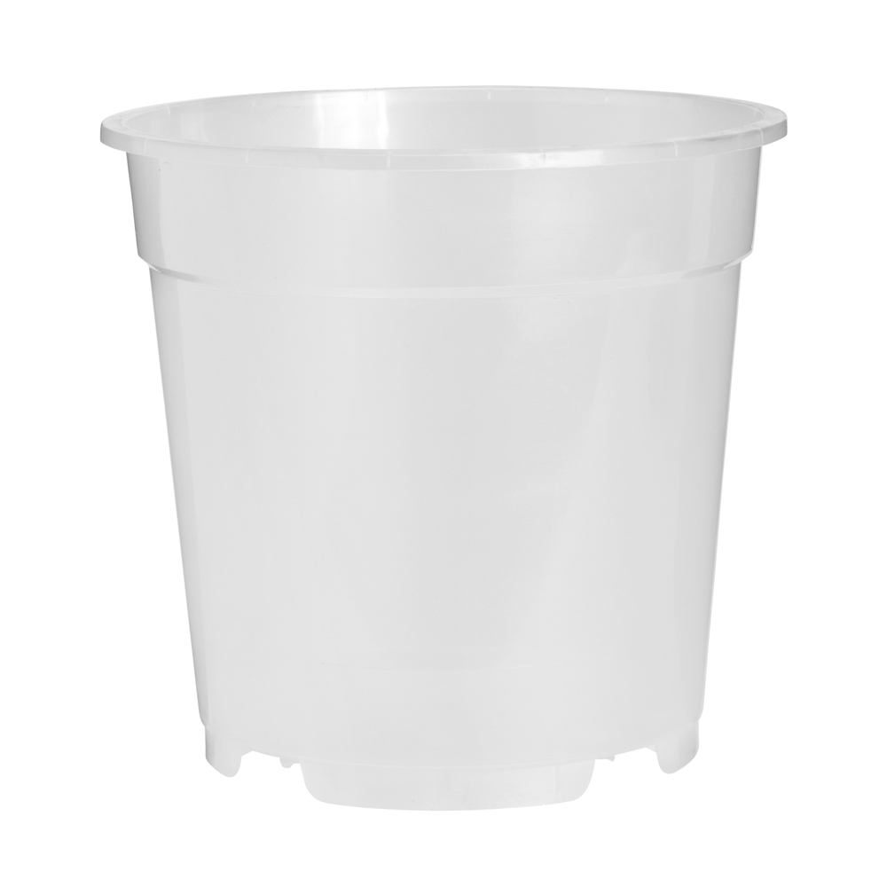 Pot à orchidée transparent - D.19cm