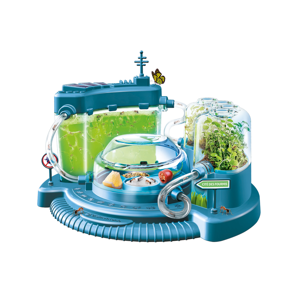 Fa le monde des fourmis