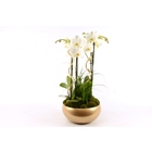Orchidée (Phalaenopsis) 4 tiges - pot en céramique noël D26cm