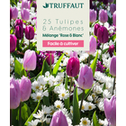 Bulbes de tulipes et d'anémones à planter, mélange 'Rose & Blanc'- x25