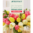 Bulbes de Tulipes simples 'Mélange acidulé' x 25