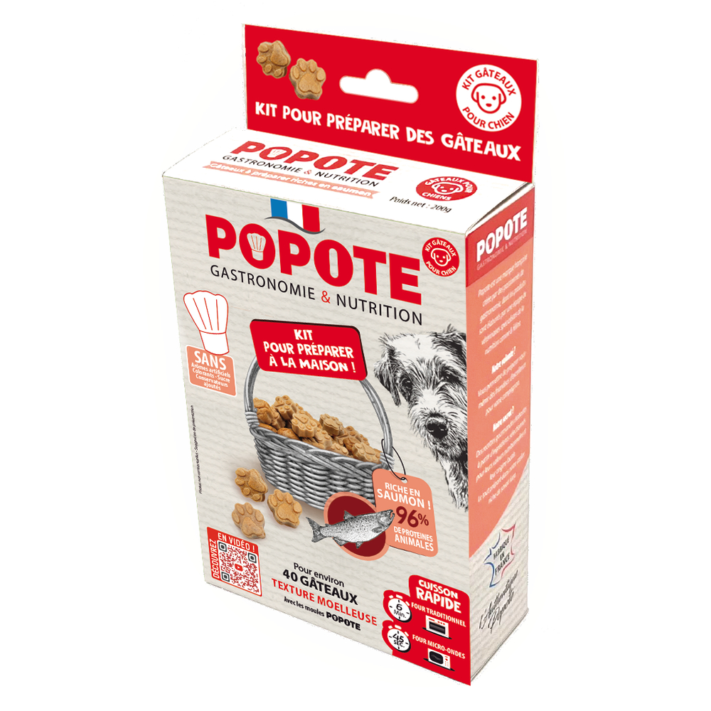 Kit préparation friandises au saumon pour chien 200g