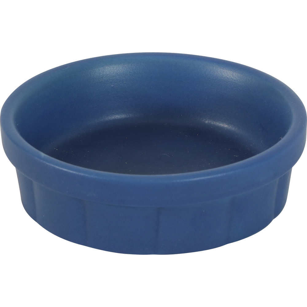 Écuelle Neolife bleue en céramique pour cochon d'inde 100 ml