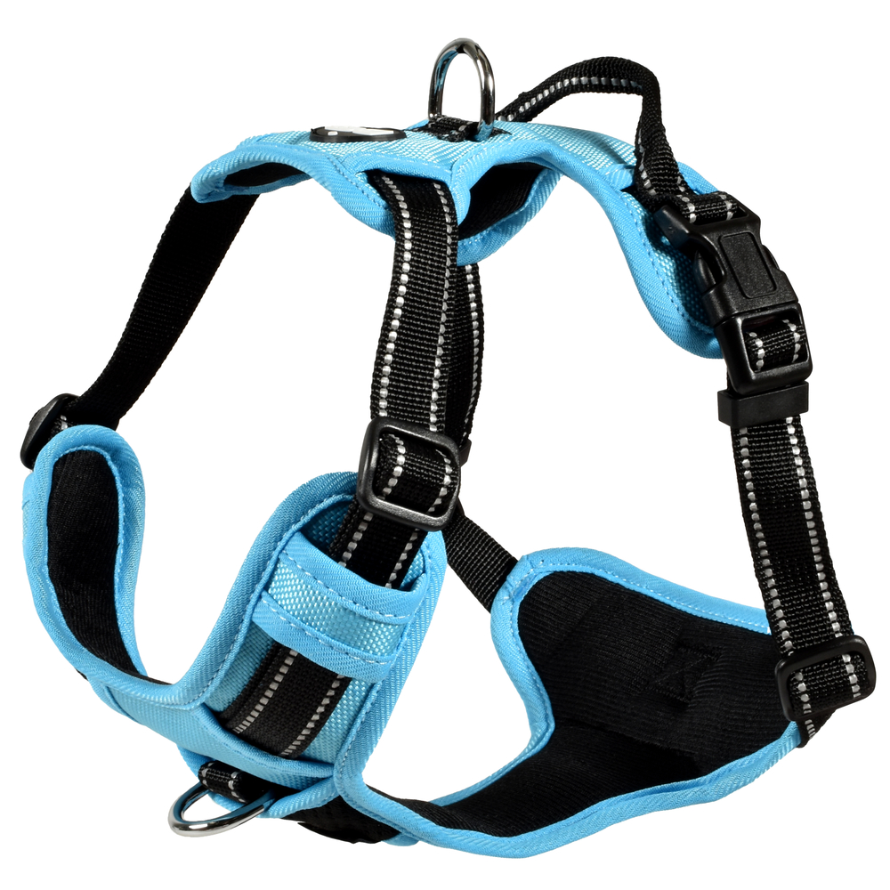Harnais pour chien, Rando Walk, coloris bleu - taille XS