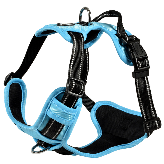 Harnais pour chien, Rando Walk, coloris bleu - taille XS
