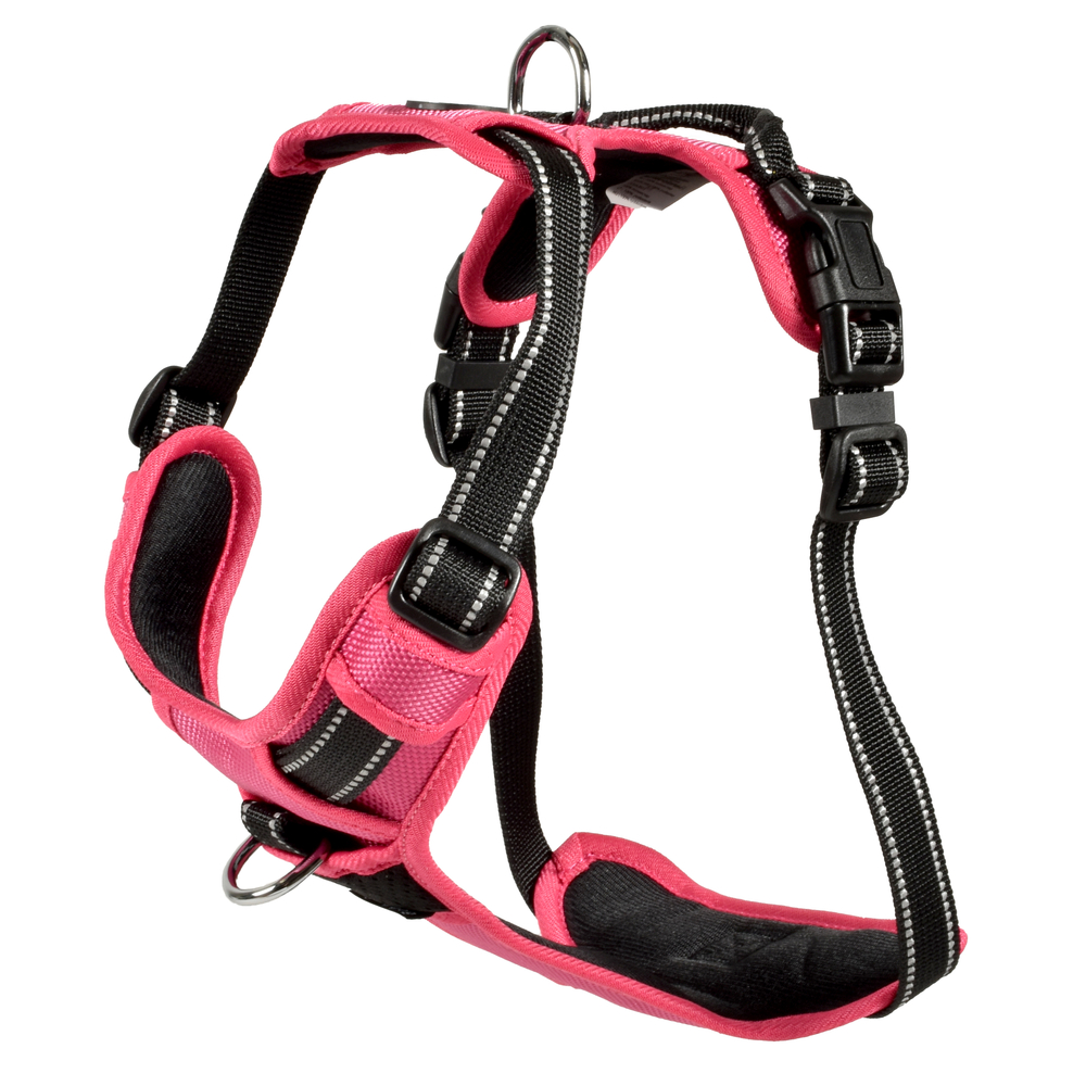 Harnais Rando Walk pour chien fuchsia - Taille L