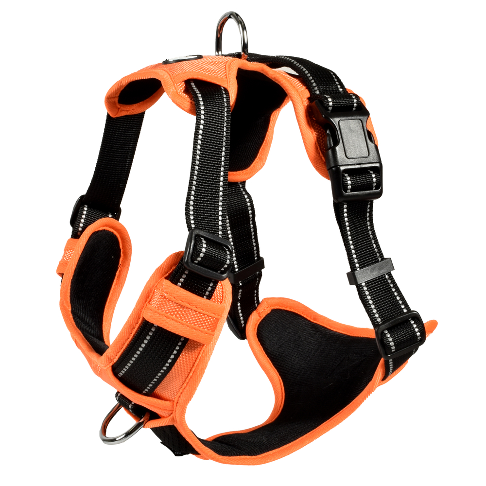 Harnais Rando Walk pour chien orange - Taille M