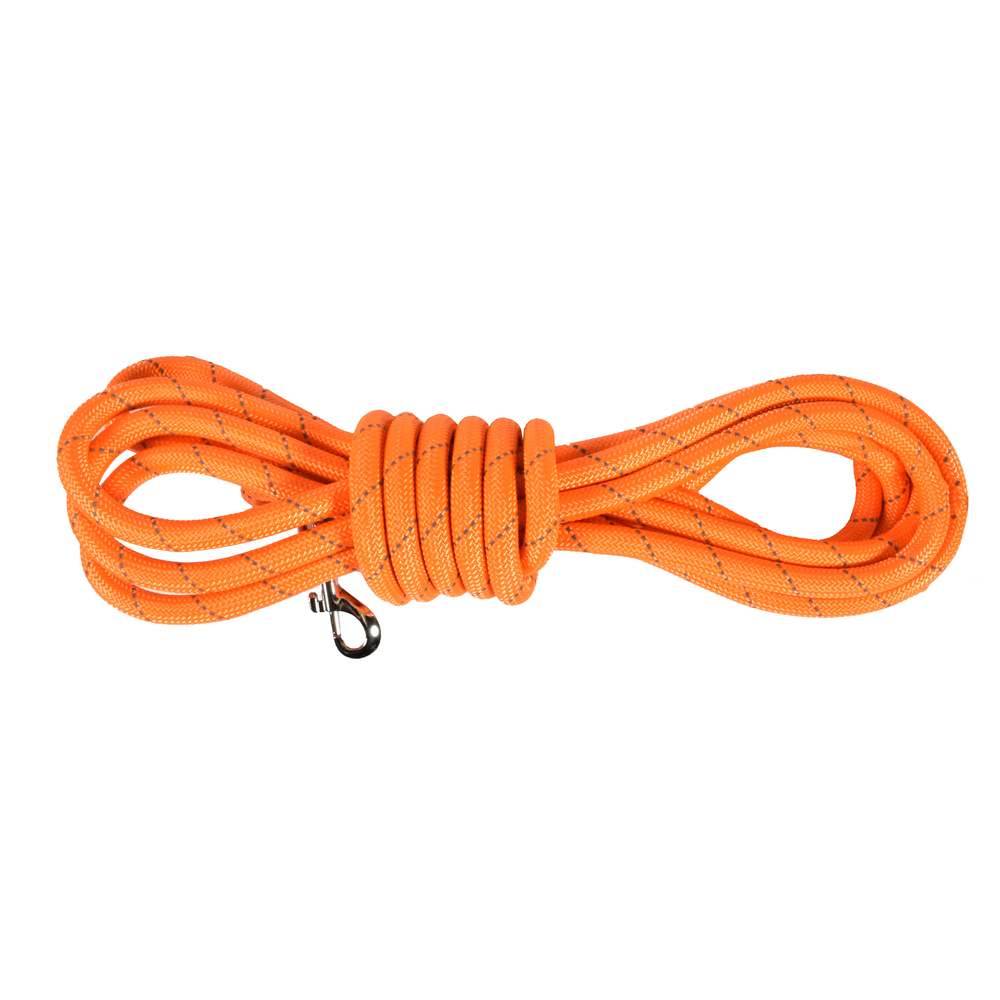 Longe Walk pour chien coloris orange 3m