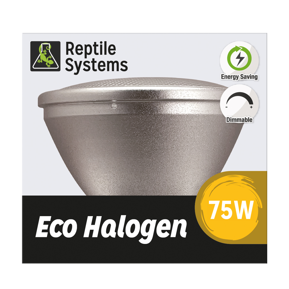 Kit Lampe eco halogène blanche pour terrarium 75W