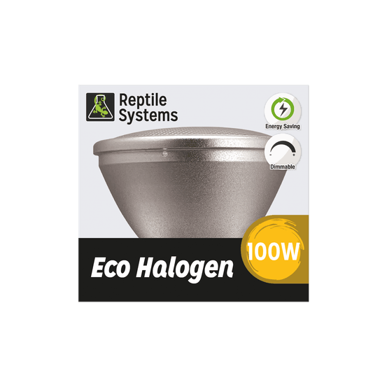 Kit Lampe eco halogène blanche pour terrarium 100W
