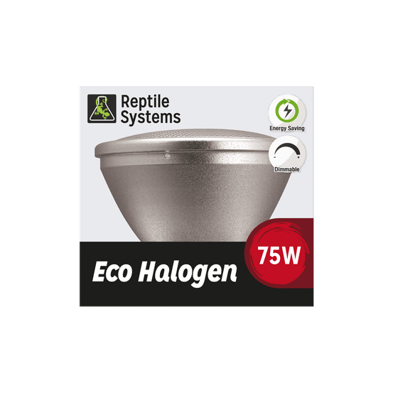 Kit Lampe eco halogène pour terrarium 75W